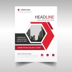 Brochure & Catalogs